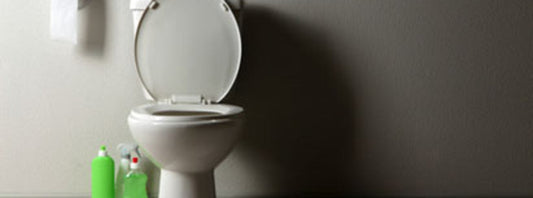 cleaning toilet bowl rings
