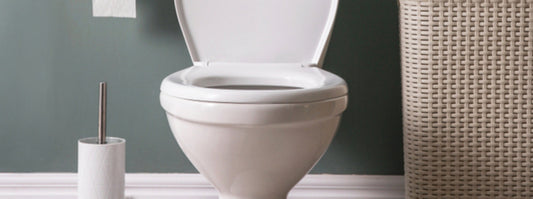 toilet seat repair