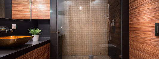 tub shower conversion