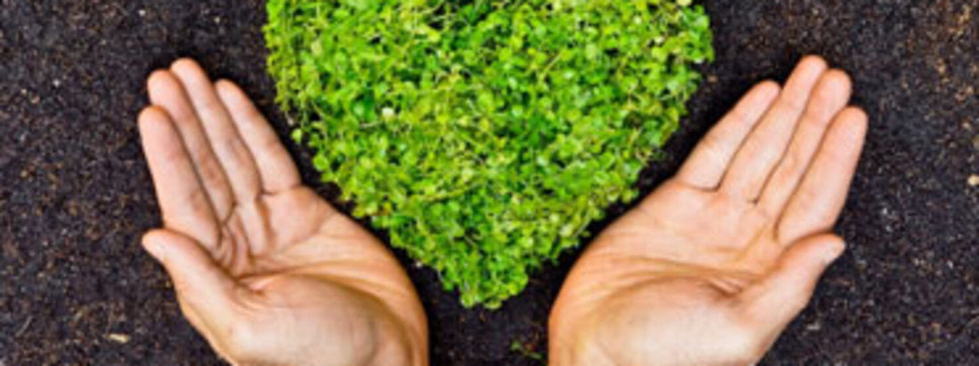 eco-friendly bathroom 