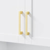 Custom image for White with Brushed Gold Trim