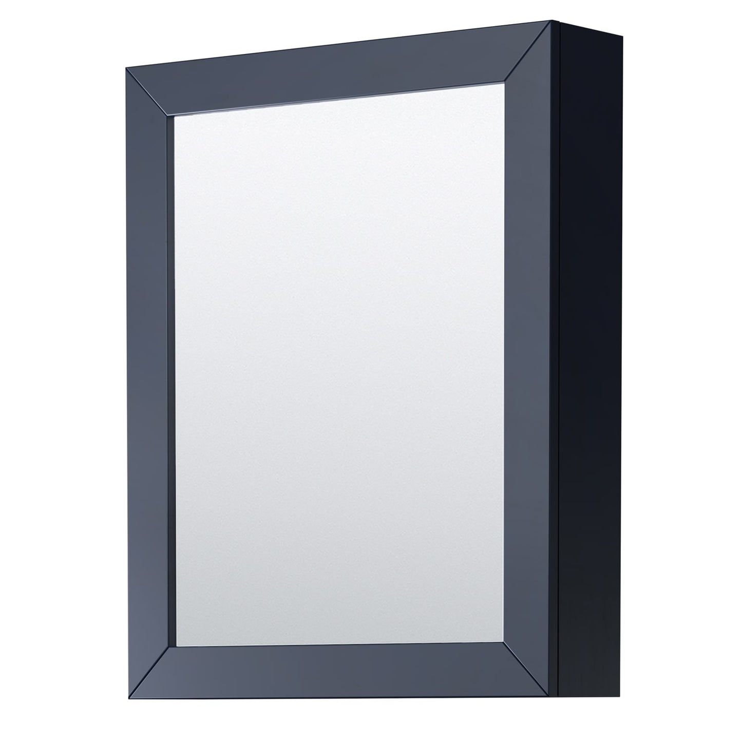 Daria Medicine Cabinet 24 inch