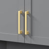 Custom image for Dark Gray with Brushed Gold Trim