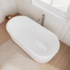 Custom image for White with Shiny White Trim / 67