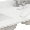 Custom image for Giotto Quartz / 48 in / 48 inch  Double Center Sink