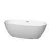 Custom image for Matte White with Brushed Nickel Trim / 67