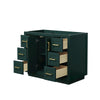 Custom image for Green with Brushed Gold Trim / No Mirror