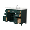 Custom image for Green with Brushed Nickel Trim / Giotto Quartz / No Mirror