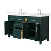 Custom image for Green with Brushed Nickel Trim / White Quartz / No Mirror