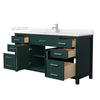 Custom image for Green with Brushed Nickel Trim / Giotto Quartz / No Mirror