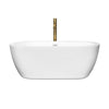 Custom image for White with Shiny White Trim and Brushed Gold Faucet / 59.75