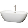 Custom image for White with Brushed Nickel Trim / 68