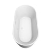 Custom image for White with Shiny White Trim / 67