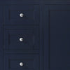 Custom image for Dark Blue with Polished Chrome Trim / No Mirror