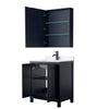 Custom image for Dark Blue with Matte Black Trim / White Quartz / Medicine Cabinet