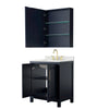 Custom image for Dark Blue with Brushed Gold Trim / Giotto Quartz / Medicine Cabinet