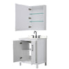 Custom image for White with Matte Black Trim / Carrara Cultured Marble / Medicine Cabinet
