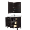 Custom image for Dark Espresso with Matte Black Trim / Giotto Quartz / Medicine Cabinet