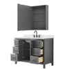 Custom image for Dark Gray with Matte Black Trim / Giotto Quartz / Medicine Cabinet