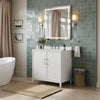 Custom image for White with Brushed Nickel Trim / No Mirror