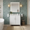 Custom image for White with Brushed Nickel Trim / No Mirror