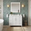 Custom image for White with Brushed Nickel Trim / White Quartz / No Mirror