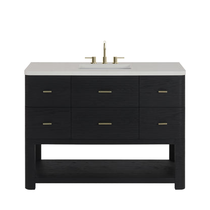 Lucian 48" Single Vanity