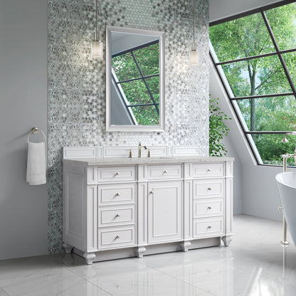 Bristol 60" Single Vanity